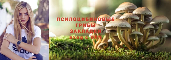 ALPHA-PVP Волоколамск