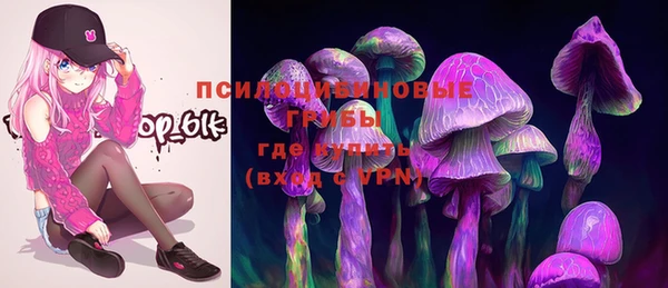 МДПВ Володарск