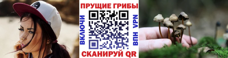 Галлюциногенные грибы GOLDEN TEACHER  Купить где  Струнино 